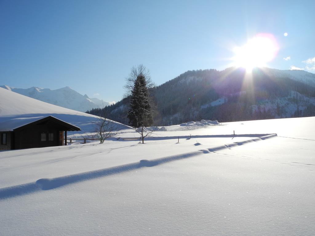 Reiterhof Berggut Gaicht Otel Nesselwängle Dış mekan fotoğraf