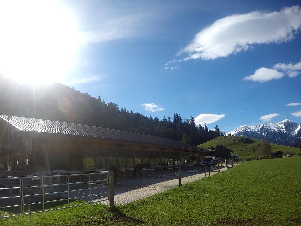 Reiterhof Berggut Gaicht Otel Nesselwängle Dış mekan fotoğraf