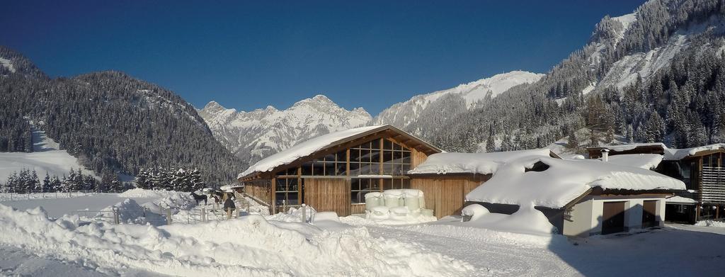 Reiterhof Berggut Gaicht Otel Nesselwängle Dış mekan fotoğraf